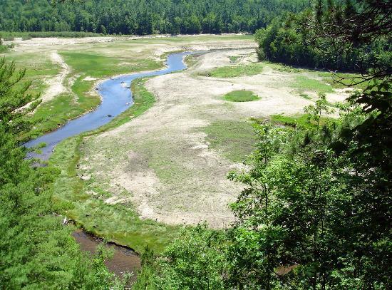 Boardman River Boardwalk